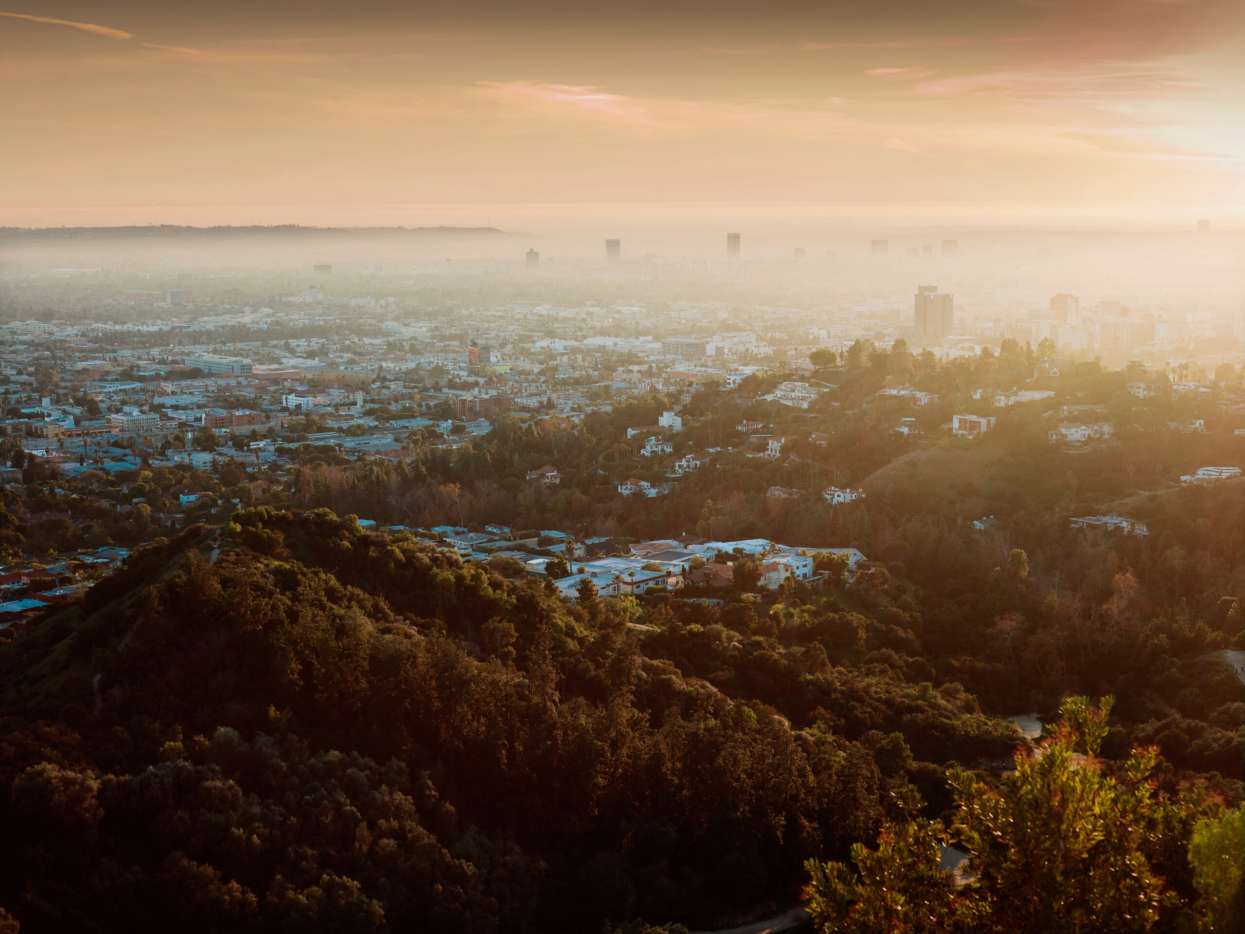 Aerial view of Los Angeles